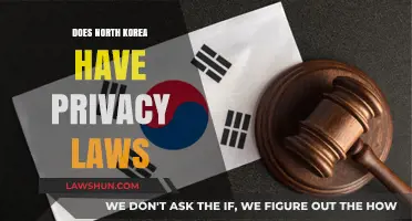 Exploring Privacy Rights in the Hermit Kingdom: North Korea's Legal Landscape