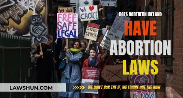 Abortion Laws in Northern Ireland: What's the Status?