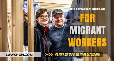 Norway's Labor Laws: Protecting Migrant Workers' Rights and Welfare