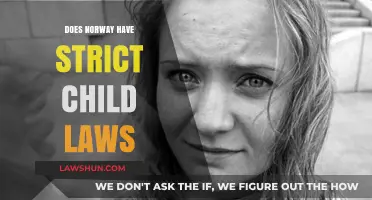 Norway's Child Laws: Strict or Supportive? Exploring Parental Rights