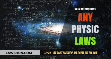 Exploring the Boundaries: Do Physical Laws Govern Everything?