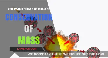 Nuclear Fission and the Law of Conservation of Mass Explained
