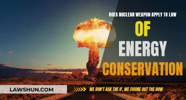 Does Nuclear Weapon Abide by the Law of Energy Conservation?