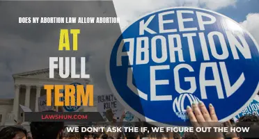 New York Abortion Law: Full-Term Abortions and Their Legality