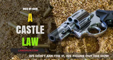 Exploring New York's Castle Law: Myths, Facts, and Implications