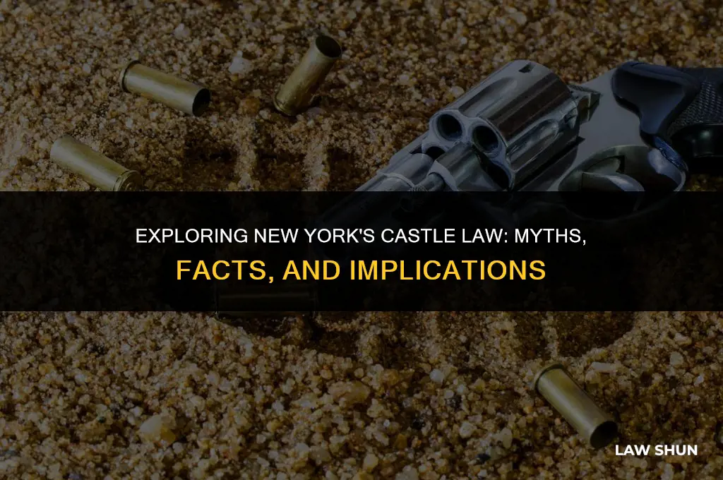 does ny have a castle law
