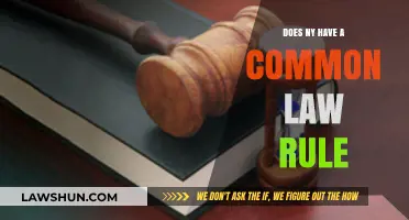 Common Law Rules: New York's Unique Take