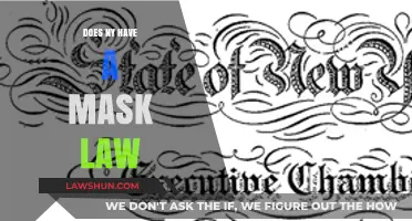 Understanding New York's Mask Mandate: A Comprehensive Guide