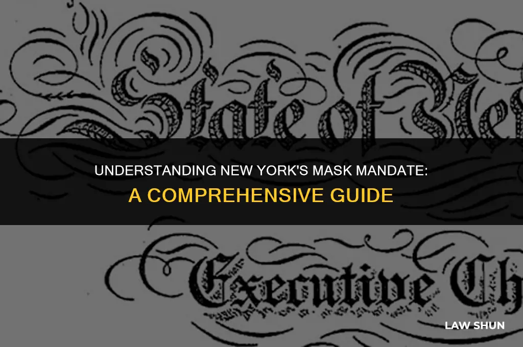 does ny have a mask law