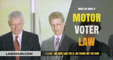 Does New York Have a Motor Voter Law? Exploring NY's Voter Registration Policies