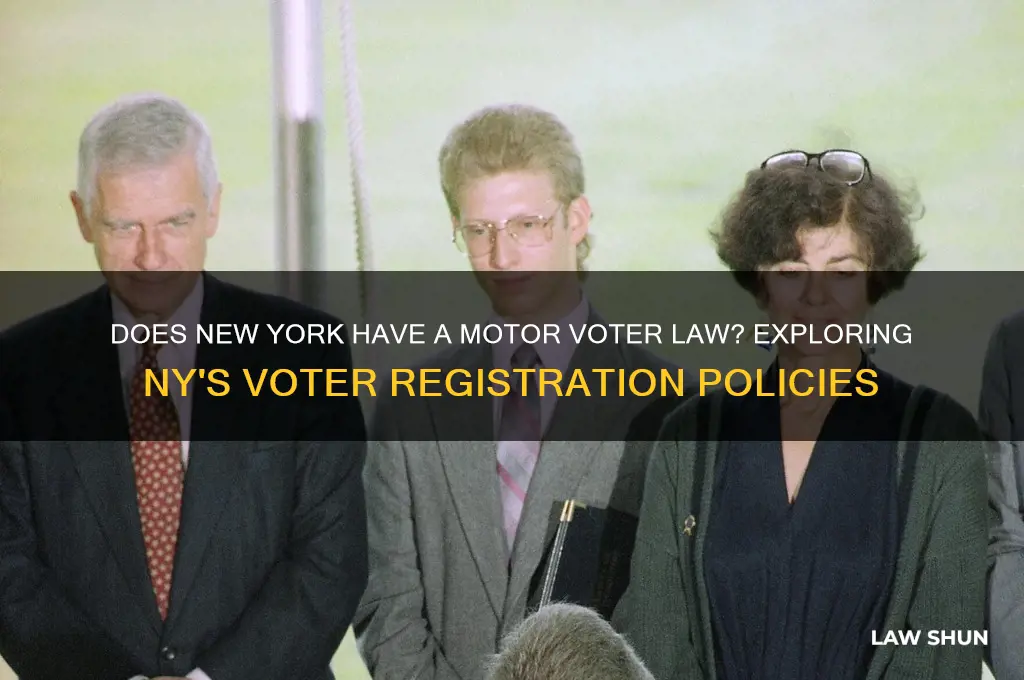 does ny have a motor voter law