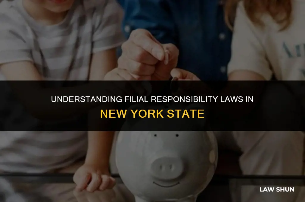 does ny have filial responsibility laws