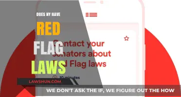 Understanding New York's Red Flag Laws: A Comprehensive Guide