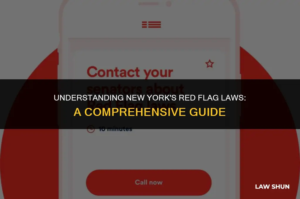 does ny have red flag laws