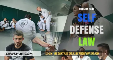 Understanding New York's Self-Defense Laws: A Comprehensive Guide