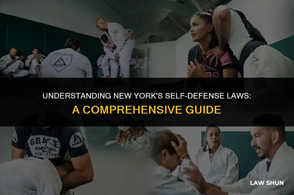 does ny have self defense law