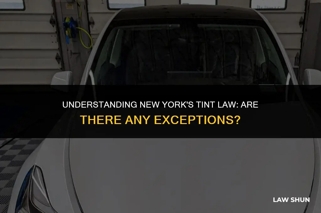 does ny tint law have exception