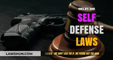 Understanding NYC's Self-Defense Laws: A Comprehensive Guide