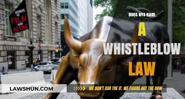 Understanding New York's Whistleblower Protections: A Comprehensive Guide