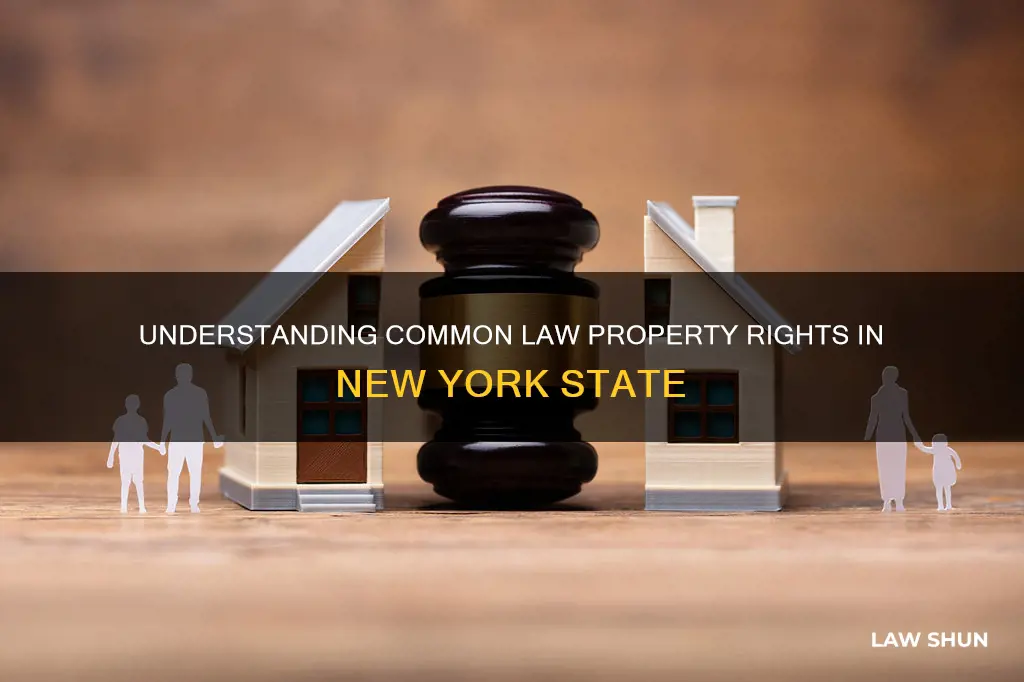 does nys have common law property