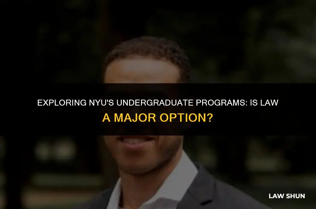 does nyu have a law major