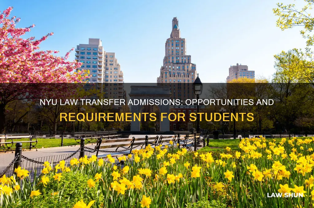 does nyu law accept transfer students