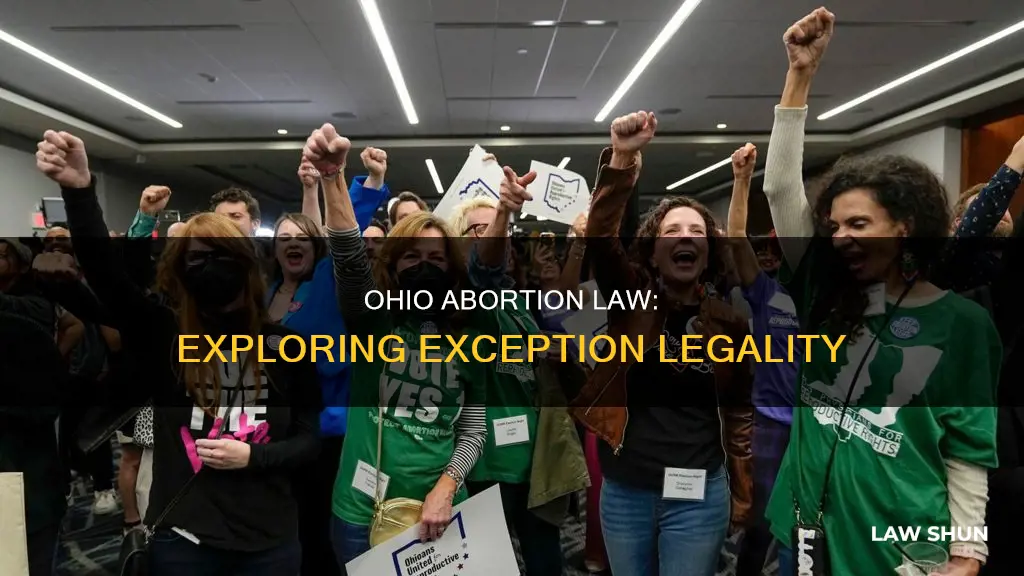 does ohio abortion law allow exceptions