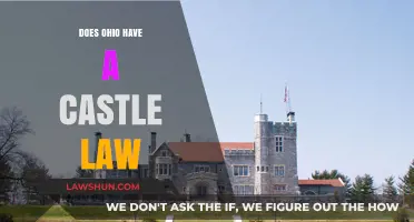 Ohio's Castle Law: Understanding Home Defense Rights and Protections