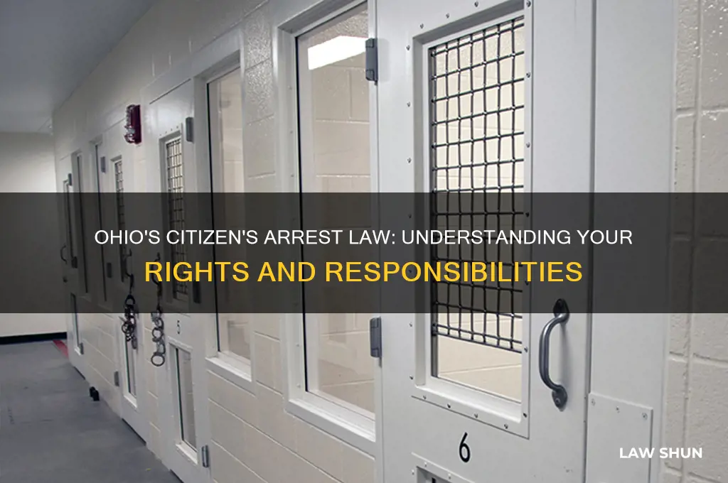 does ohio have a citizen