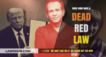 Ohio's Dead Red Law: What Motorists Need to Know