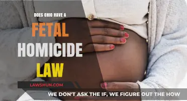 Ohio's Fetal Homicide Law: Understanding Its Existence and Implications