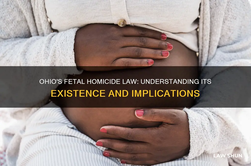 does ohio have a fetal homicide law
