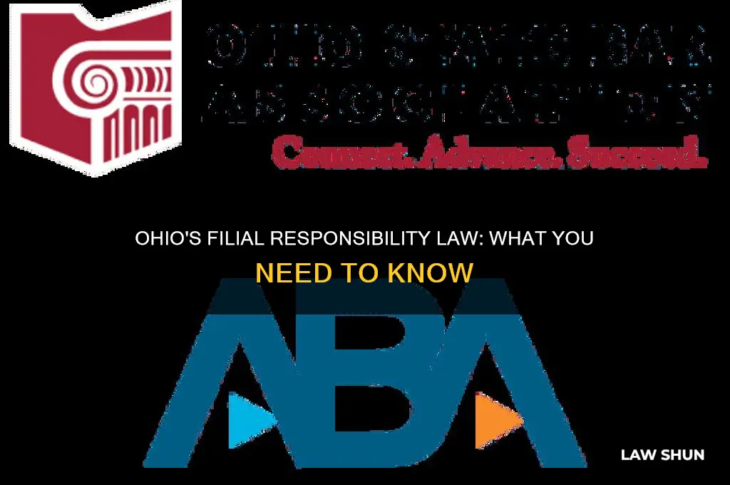 does ohio have a filial law
