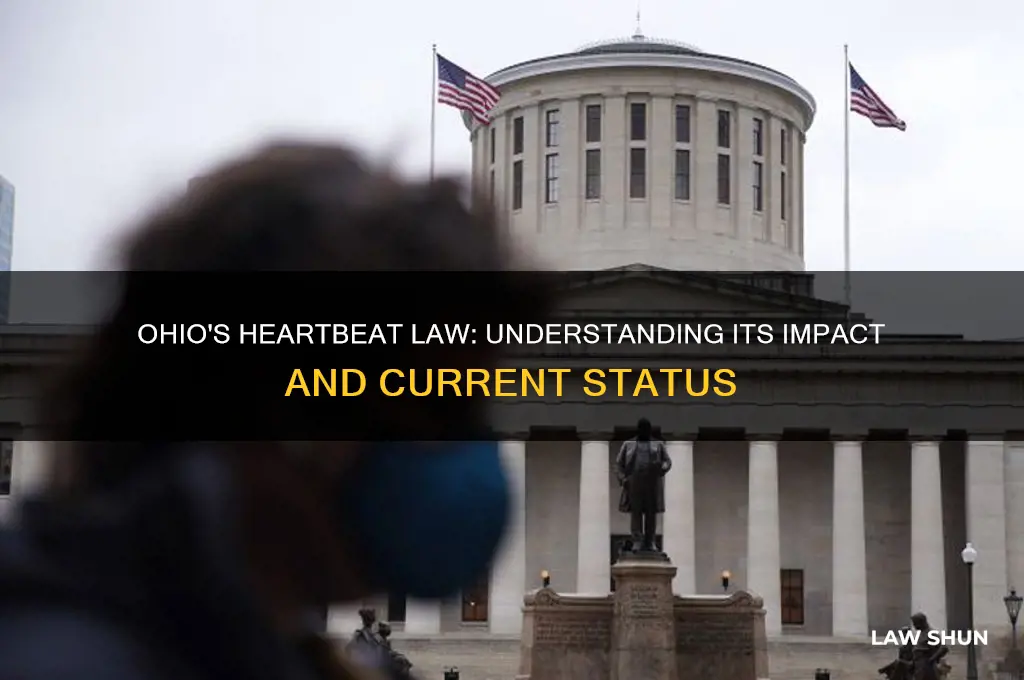 does ohio have a heartbeat law