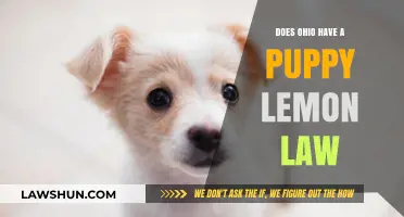 Ohio Puppy Lemon Law: What Buyers Need to Know