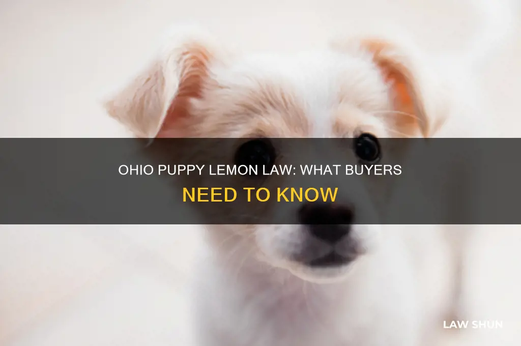 does ohio have a puppy lemon law