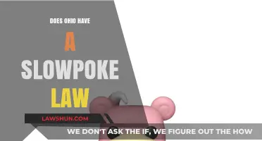 Ohio's Slowpoke Law: Understanding Left Lane Rules and Penalties