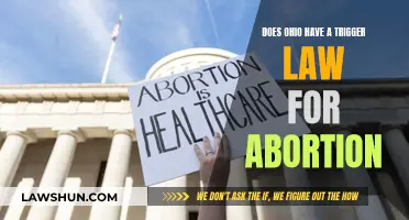 Ohio's Abortion Trigger Law: What You Need to Know