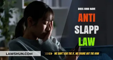 SLAPP Law in Ohio: What's the Deal?
