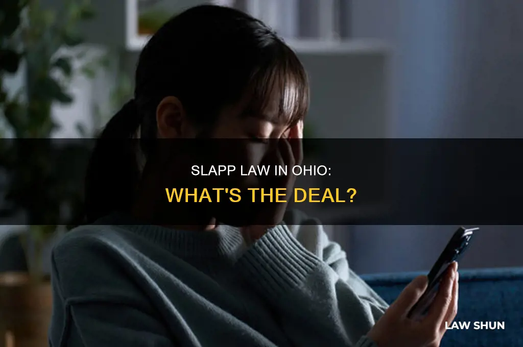 does ohio have anti slapp law