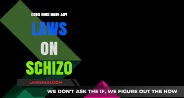 Ohio's Legal Stance on Schizophrenia: Understanding Mental Health Laws