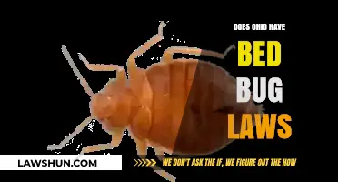 Ohio Bed Bug Laws: What Tenants and Landlords Need to Know