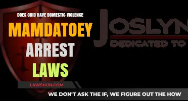 Ohio's Domestic Violence Laws: Understanding Mandatory Arrest Policies
