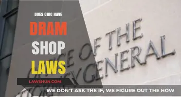 Ohio's Dram Shop Laws: Liability for Bars and Alcohol Providers