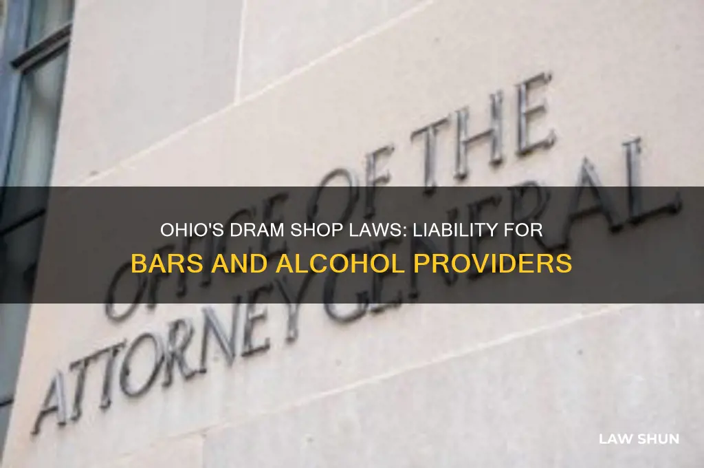 does ohio have dram shop laws