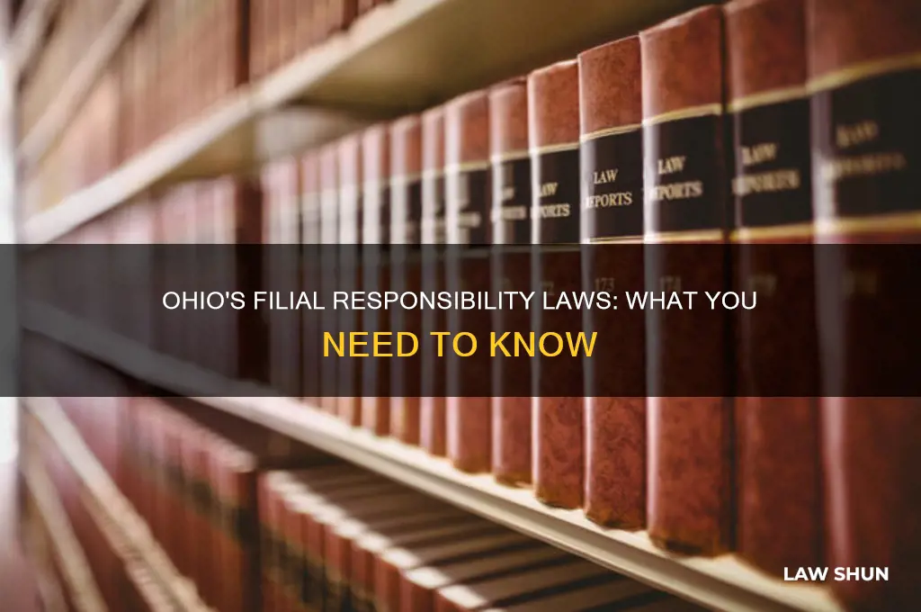 does ohio have filial responsibility laws