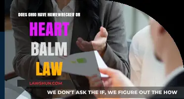 Ohio's Stance on Homewrecker and Heart Balm Laws Explained