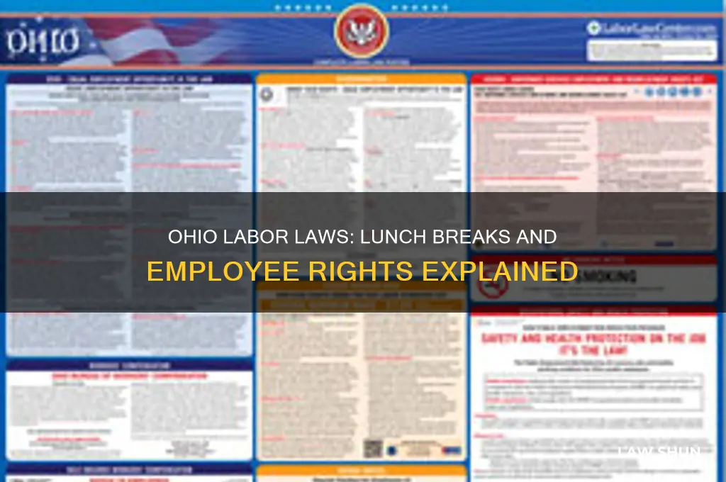 does ohio have labor laws for lunches