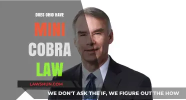 Ohio's Mini-COBRA Law: Understanding Healthcare Continuation Options