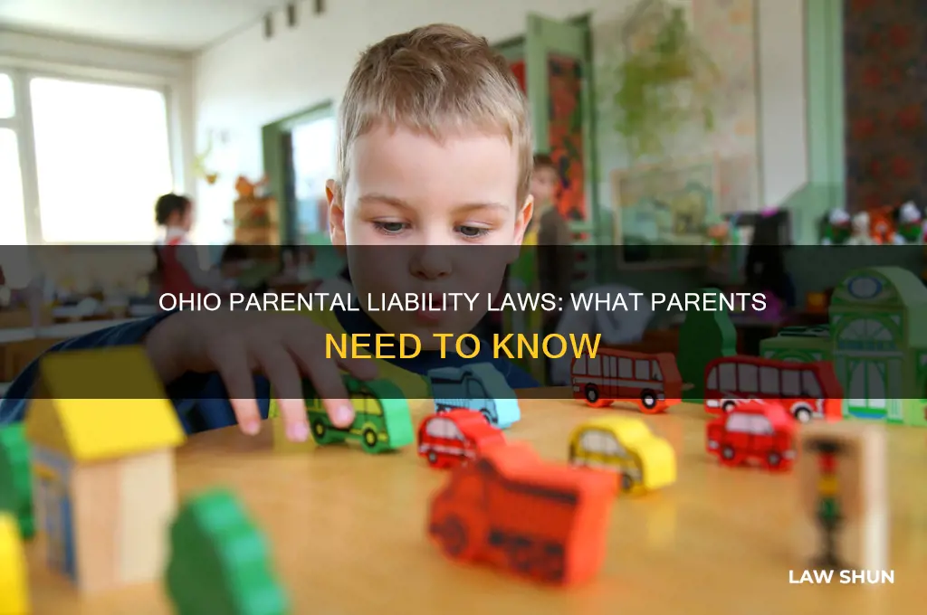 does ohio have parental liabilty laws
